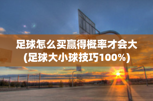 足球怎么买赢得概率才会大(足球大小球技巧100%)