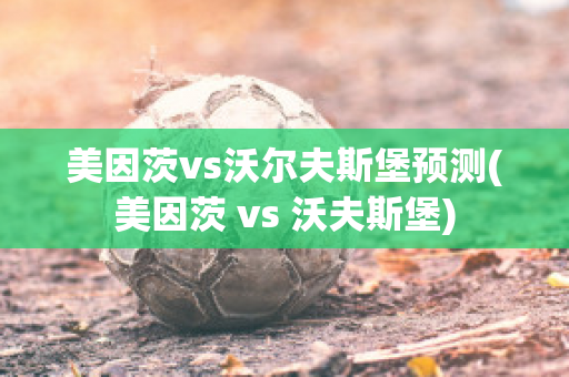 美因茨vs沃尔夫斯堡预测(美因茨 vs 沃夫斯堡)