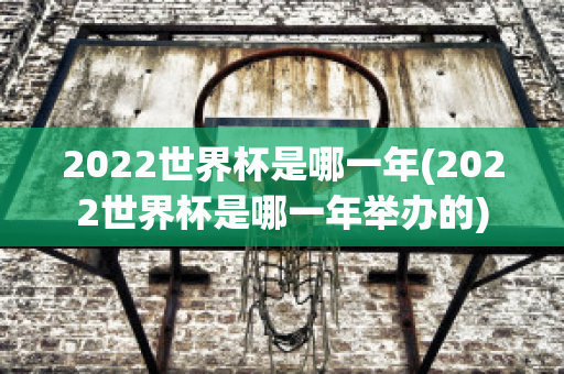 2022世界杯是哪一年(2022世界杯是哪一年举办的)