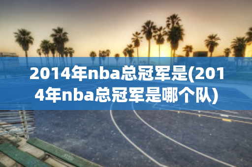 2014年nba总冠军是(2014年nba总冠军是哪个队)