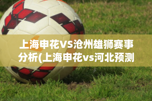 上海申花VS沧州雄狮赛事分析(上海申花vs河北预测)