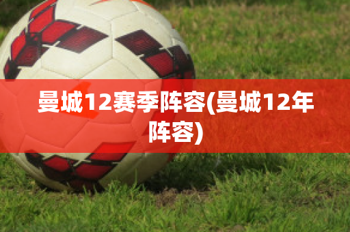 曼城12赛季阵容(曼城12年阵容)