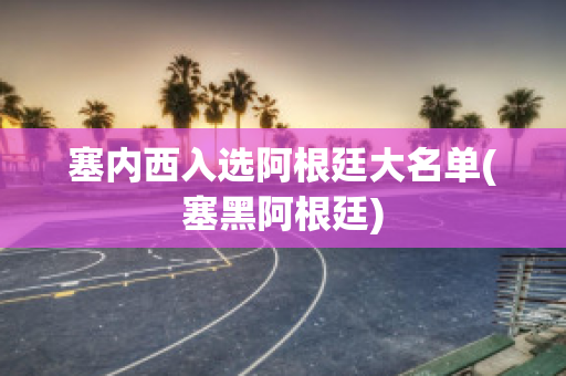 塞内西入选阿根廷大名单(塞黑阿根廷)