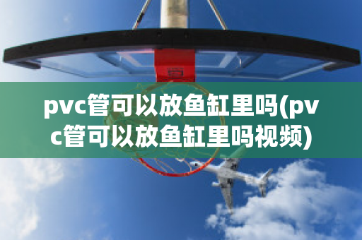 pvc管可以放鱼缸里吗(pvc管可以放鱼缸里吗视频)