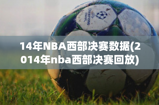 14年NBA西部决赛数据(2014年nba西部决赛回放)