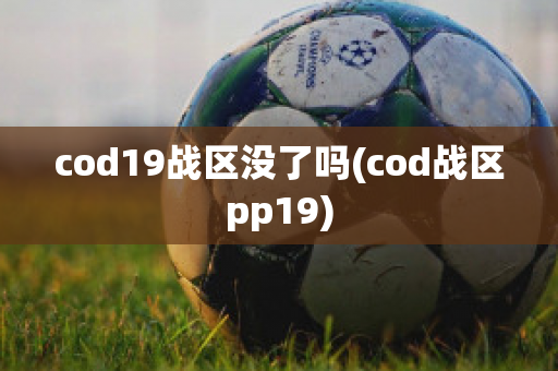 cod19战区没了吗(cod战区pp19)