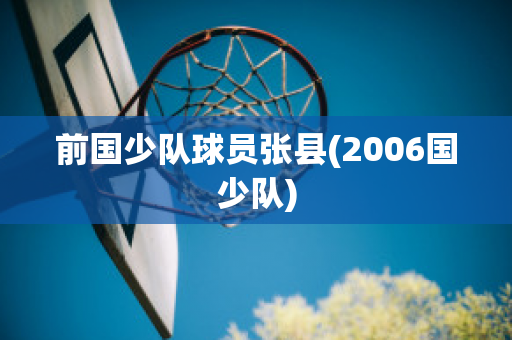 前国少队球员张县(2006国少队)