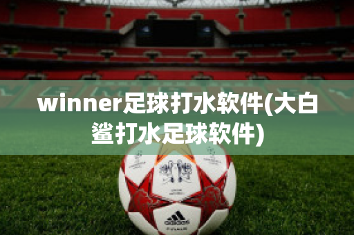 winner足球打水软件(大白鲨打水足球软件)