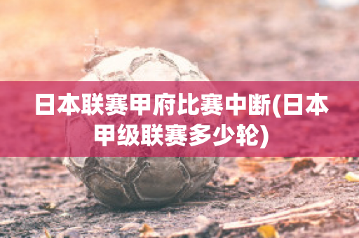 日本联赛甲府比赛中断(日本甲级联赛多少轮)