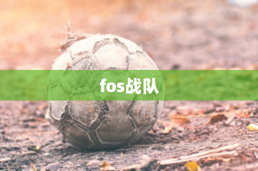 fos战队