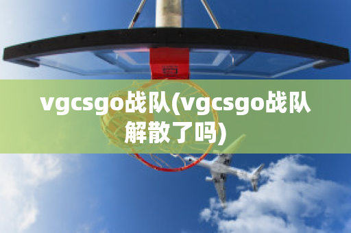 vgcsgo战队(vgcsgo战队解散了吗)