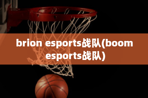 brion esports战队(boom esports战队)