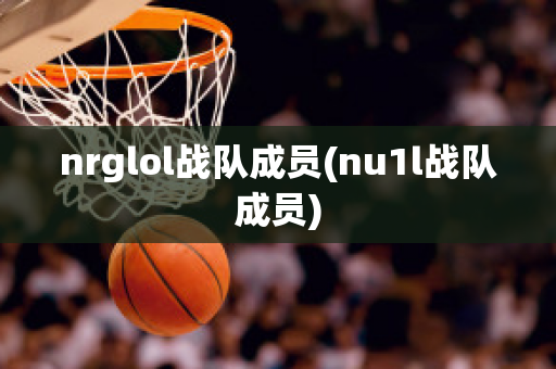 nrglol战队成员(nu1l战队成员)