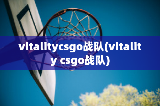 vitalitycsgo战队(vitality csgo战队)