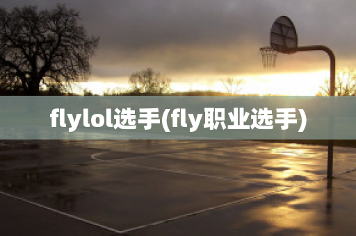 flylol选手(fly职业选手)