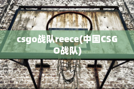 csgo战队reece(中国CSGO战队)