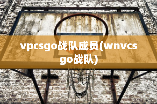 vpcsgo战队成员(wnvcsgo战队)