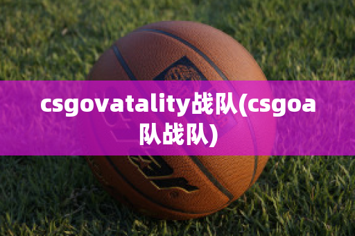 csgovatality战队(csgoa队战队)