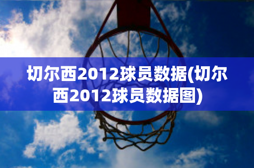 切尔西2012球员数据(切尔西2012球员数据图)