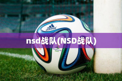 nsd战队(NSD战队)