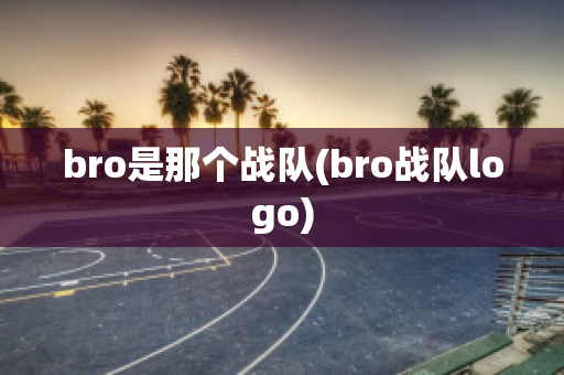 bro是那个战队(bro战队logo)