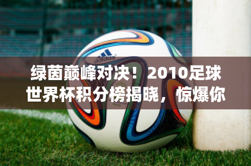 绿茵巅峰对决！2010足球世界杯积分榜揭晓，惊爆你的眼球！(2010世界杯小组赛积分)