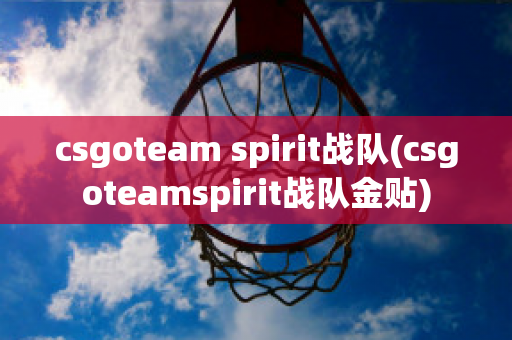 csgoteam spirit战队(csgoteamspirit战队金贴)