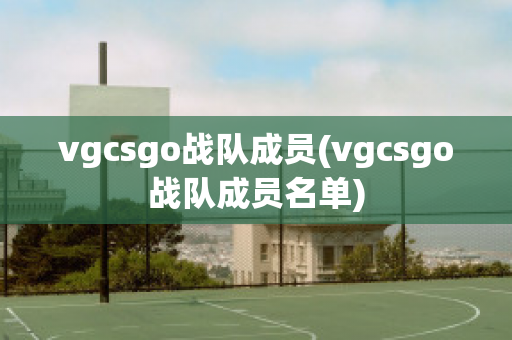 vgcsgo战队成员(vgcsgo战队成员名单)