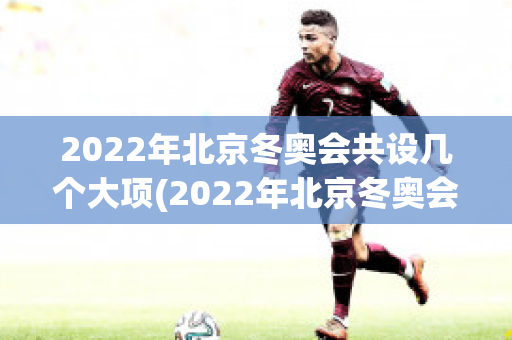 2022年北京冬奥会共设几个大项(2022年北京冬奥会共设几个大项?)