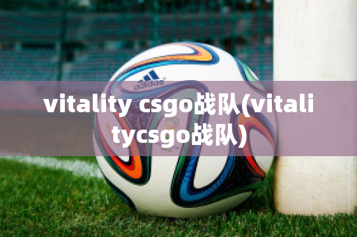 vitality csgo战队(vitalitycsgo战队)