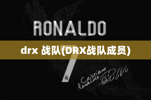 drx 战队(DRX战队成员)