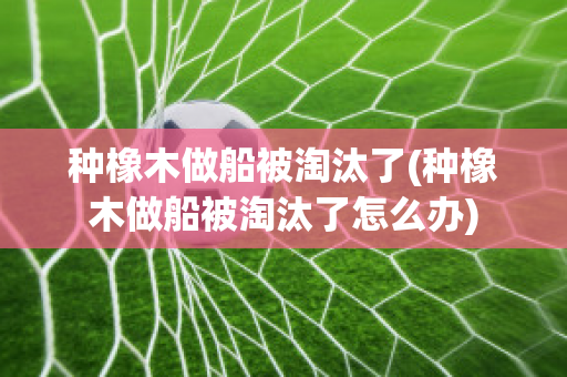 种橡木做船被淘汰了(种橡木做船被淘汰了怎么办)