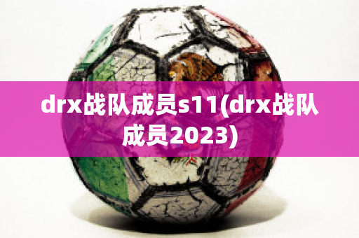 drx战队成员s11(drx战队成员2023)