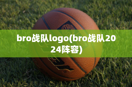 bro战队logo(bro战队2024阵容)