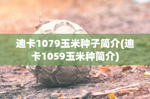 迪卡1079玉米种子简介(迪卡1059玉米种简介)