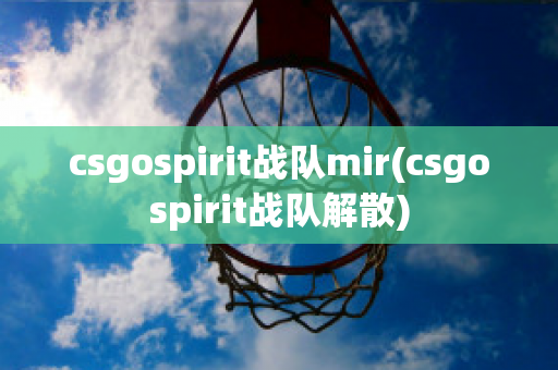 csgospirit战队mir(csgospirit战队解散)