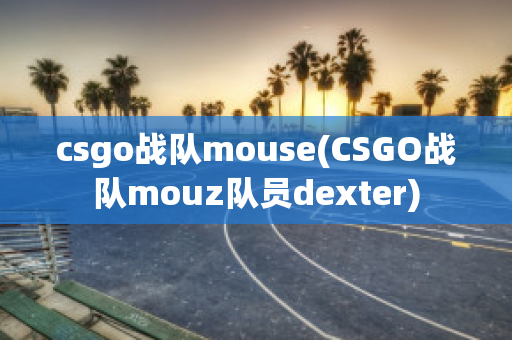 csgo战队mouse(CSGO战队mouz队员dexter)