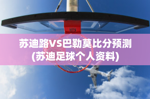 苏迪路VS巴勒莫比分预测(苏迪足球个人资料)