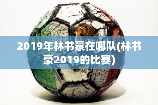 2019年林书豪在哪队(林书豪2019的比赛)