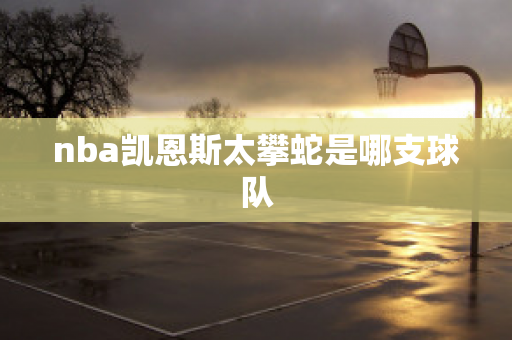 nba凯恩斯太攀蛇是哪支球队