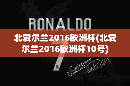 北爱尔兰2016欧洲杯(北爱尔兰2016欧洲杯10号)