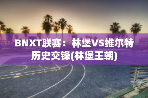 BNXT联赛：林堡VS维尔特历史交锋(林堡王朝)