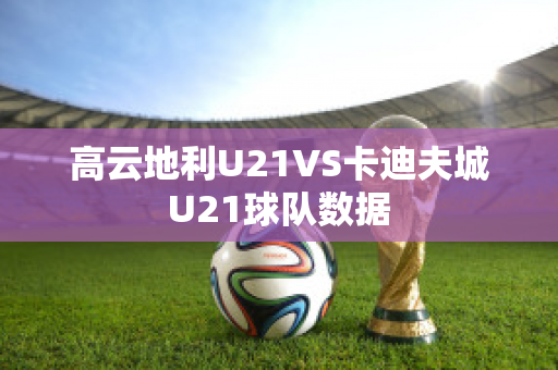 高云地利U21VS卡迪夫城U21球队数据