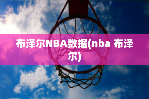 布泽尔NBA数据(nba 布泽尔)