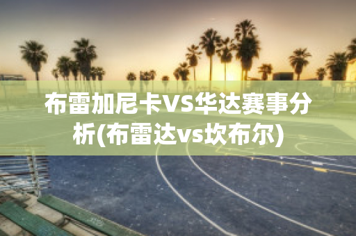 布雷加尼卡VS华达赛事分析(布雷达vs坎布尔)