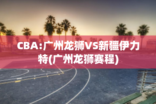 CBA:广州龙狮VS新疆伊力特(广州龙狮赛程)