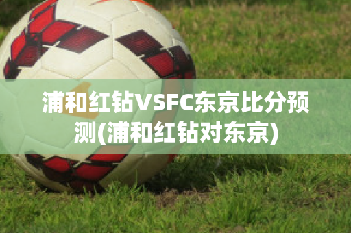 浦和红钻VSFC东京比分预测(浦和红钻对东京)