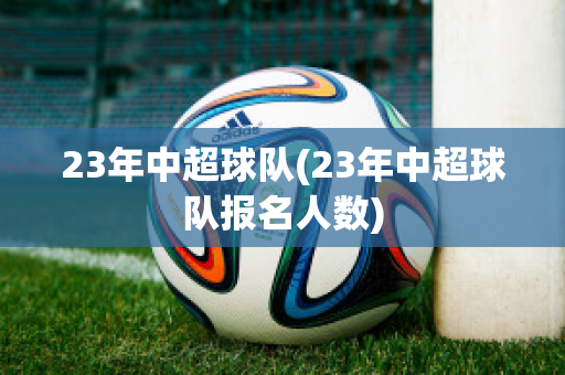 23年中超球队(23年中超球队报名人数)