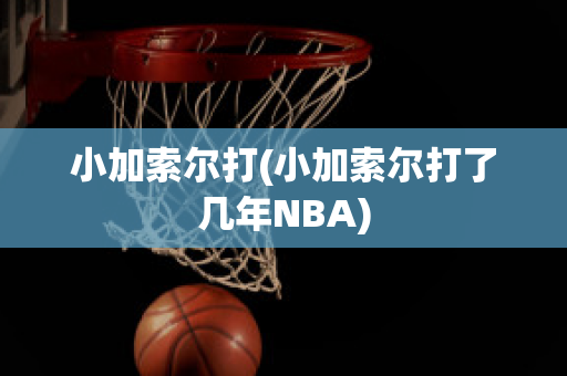 小加索尔打(小加索尔打了几年NBA)