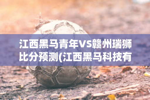 江西黑马青年VS赣州瑞狮比分预测(江西黑马科技有限公司)